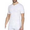 Confezione 3 T-shirt Uomo scollo a v misto fibre colore bianco nero PCU 101 - Pierre Cardin