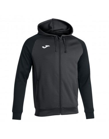 capuche homme couleur zip...