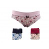 Confection 6 Boxes Women's Cotton Color Assorted 5638D - Lovely Girl