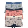 Packaging 6 baby boxer cotton assorted colors U3602F - GASOLINO