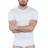 copy of T-shirt homme Col rond manches courtes Coton Pettinato K1305 - KAPPA