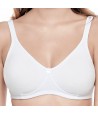 Pre-formed cotton bra without stiff cup and black and white Cleo - Sollievo